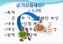 군가산점제의 부활 2페이지