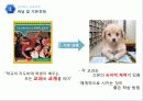 교육과정의 유형 (Curriculum & educational valuation)  4페이지