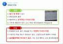 교육과정의 유형 (Curriculum & educational valuation)  6페이지