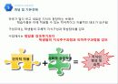 교육과정의 유형 (Curriculum & educational valuation)  21페이지