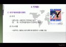 [국제관계의 이해] 테러와 테러리즘 26페이지