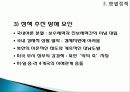 김대중 대통령 19페이지