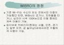 대중매체와 무선인터넷 12페이지