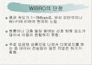 대중매체와 무선인터넷 13페이지