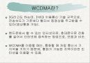 대중매체와 무선인터넷 14페이지