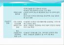 도시 주택정책에 관한 분석 17페이지