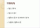 염소(Chlorine) 2페이지