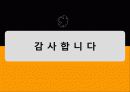 글로벌 가버넌스와 NGO 13페이지
