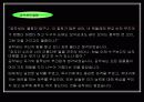 초등학교진로교육프로그램 21페이지