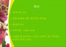 해리장애 4페이지