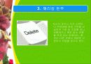 해리장애 8페이지