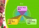 해리장애 13페이지