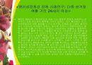 해리장애 15페이지