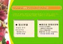 해리장애 18페이지
