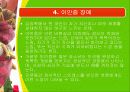 해리장애 19페이지