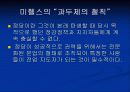 정 당 : 정치의 연결 및 지도 메커니즘 18페이지