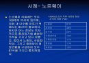 정 당 : 정치의 연결 및 지도 메커니즘 23페이지