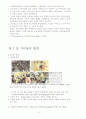 제 2 편 기독교 문명  9페이지