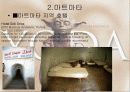 튀니지[Tunisia]소개  9페이지