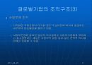 글로벌경영 조직구조와 인적자원관리 (ABB의 조직구조, 글로벌기업의 조직구조) 11페이지