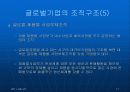 글로벌경영 조직구조와 인적자원관리 (ABB의 조직구조, 글로벌기업의 조직구조) 17페이지