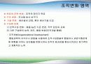 조직과 변화와 혁신 4페이지