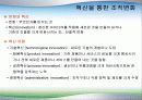 조직과 변화와 혁신 9페이지