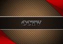 CCTV에 관해 1페이지