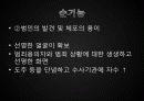 CCTV에 관해 17페이지