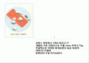 생식 조절(control of Reproduction) 4페이지