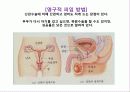 생식 조절(control of Reproduction) 9페이지