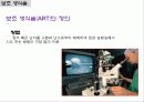 생식 조절(control of Reproduction) 13페이지