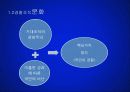 경찰조직의 개선방향 8페이지