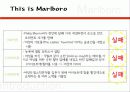 카멜과말보로 7페이지