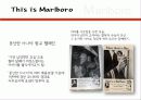 카멜과말보로 8페이지