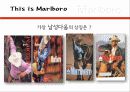카멜과말보로 9페이지