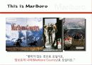 카멜과말보로 10페이지