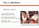 카멜과말보로 11페이지