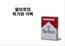카멜과말보로 15페이지