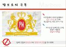 카멜과말보로 21페이지