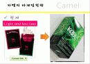 카멜과말보로 24페이지