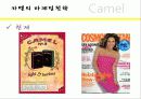 카멜과말보로 25페이지