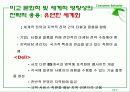 비교문화와 세계적 영향   7페이지