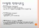 발효식품  6페이지