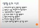 발효식품  11페이지