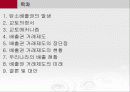 탄소배출권 탄소배출제도 2페이지