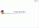 무기질(황,sulfur) 1페이지