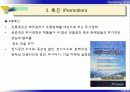 제10장 케팅믹스(Marketing Mix)전략 13페이지