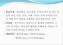 인지심리학 (2) 4페이지