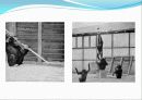 인지심리학 (2) 9페이지